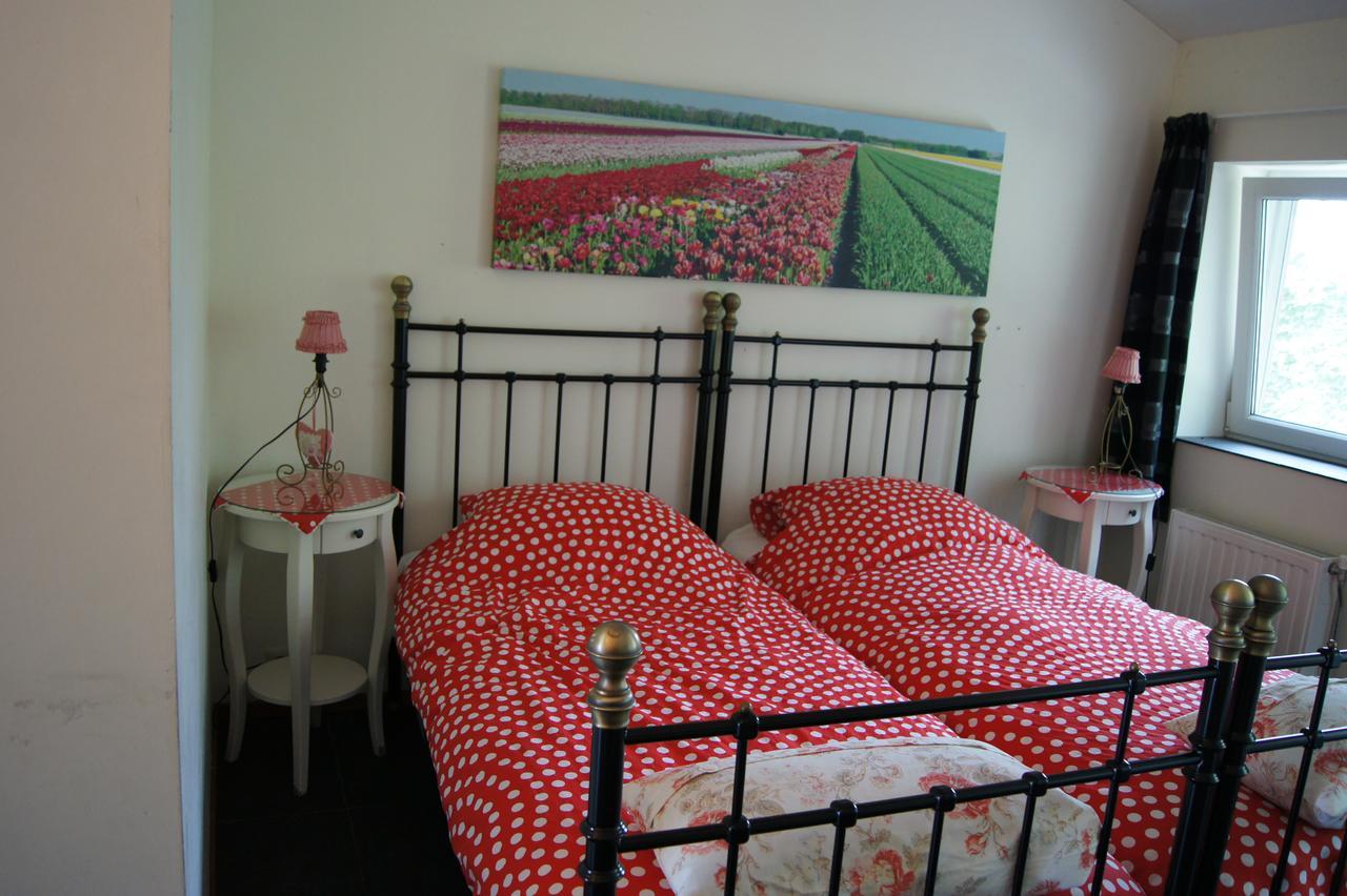 Het Bonte Paard Bed and Breakfast Dwingeloo Εξωτερικό φωτογραφία