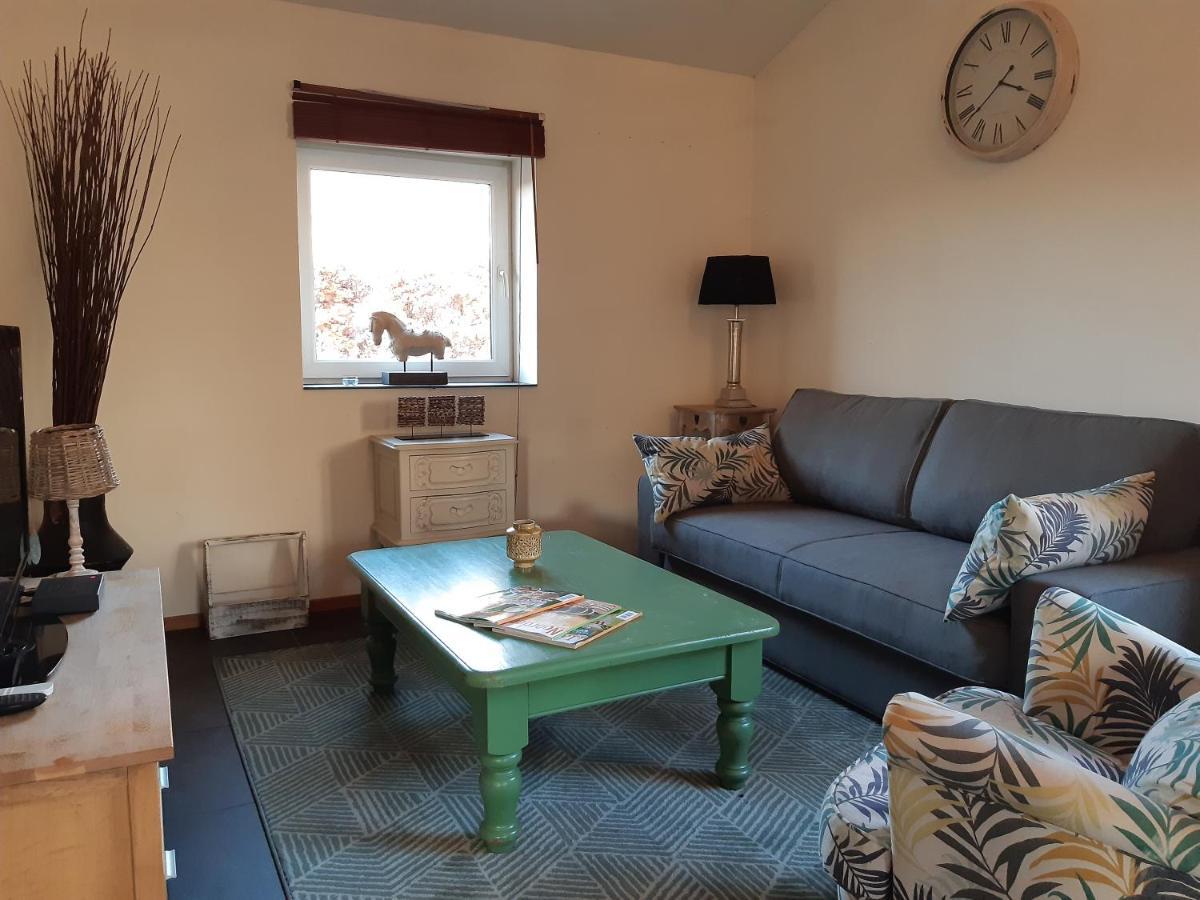 Het Bonte Paard Bed and Breakfast Dwingeloo Εξωτερικό φωτογραφία